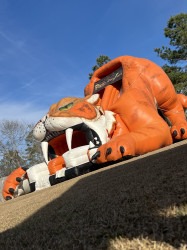 IMG 7978 1740329757 SABRETOOTH 27 ft. Slide