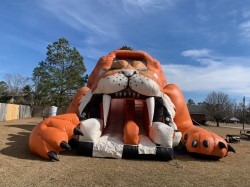 IMG 9086 1740329757 SABRETOOTH 27 ft. Slide