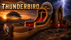 Thunderbird