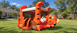 492697BE A209 4FD8 A393 3B091B5FA845 1791768877 Tiger Belly bounce house